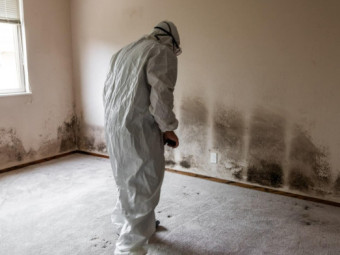 Why Mold Remediation Should Be a Priority After Water Damage